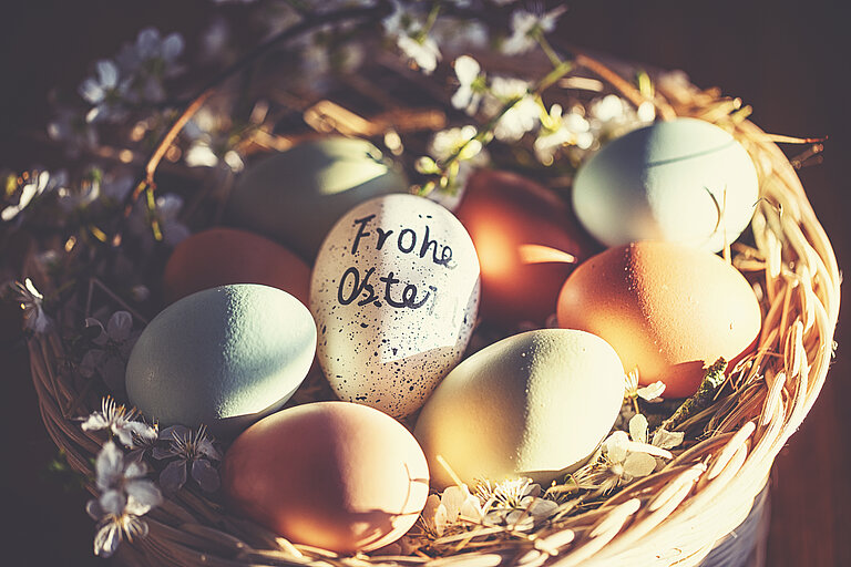 Osternest mit bunten Eiern darin. Auf einem steht "Frohe Ostern".