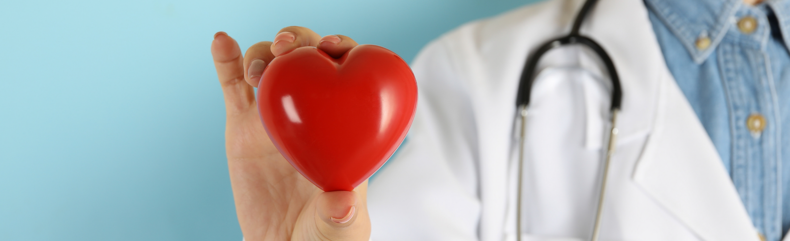 Arzt mit weißem Kittel hält rotes Herz in der Hand