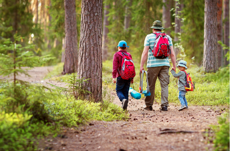 Vater geht mit seinen zwei Söhnen im Sommer im Wald spazieren.